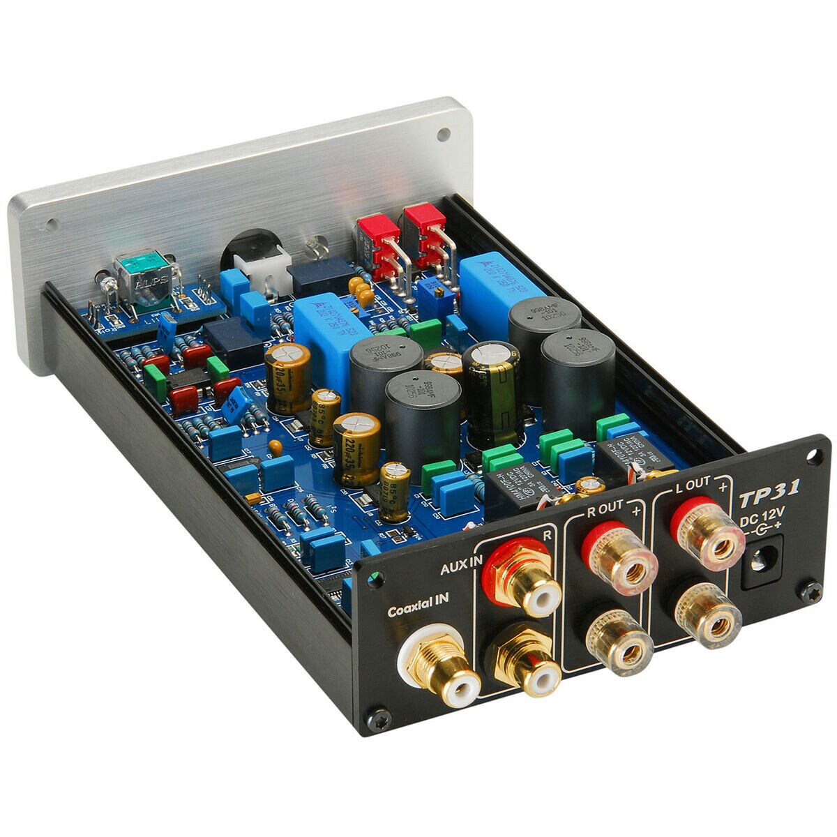 Topping TP31 TAmp Class T Amplifier with DAC 15WPC